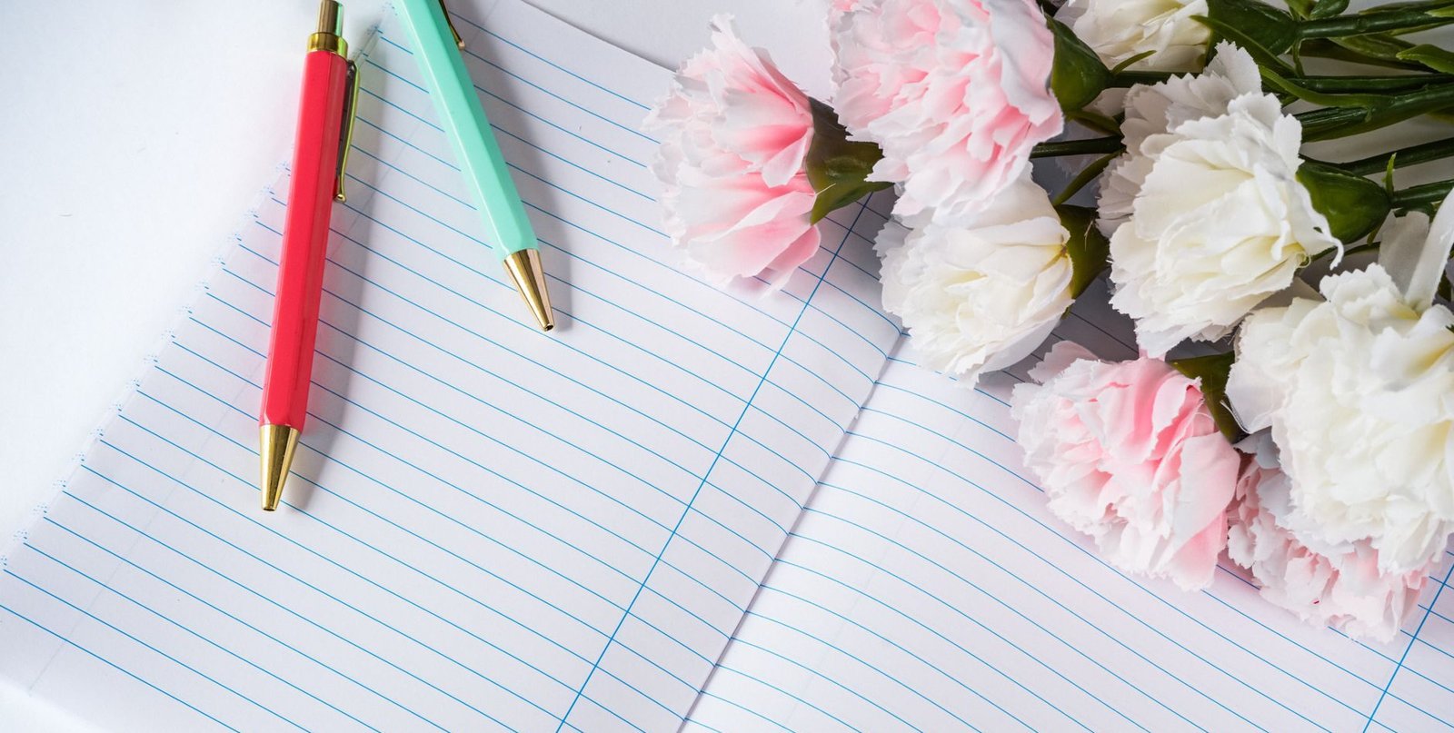 ballpens on the notebook